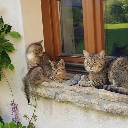 Gospodarstwo Goscinne Jesionowka