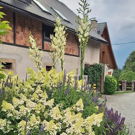 Gospodarstwo Goscinne Jesionowka ファームステイ Goworów