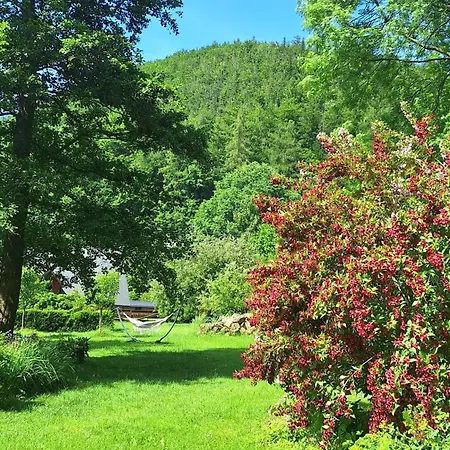 Gospodarstwo Goscinne Jesionowka *