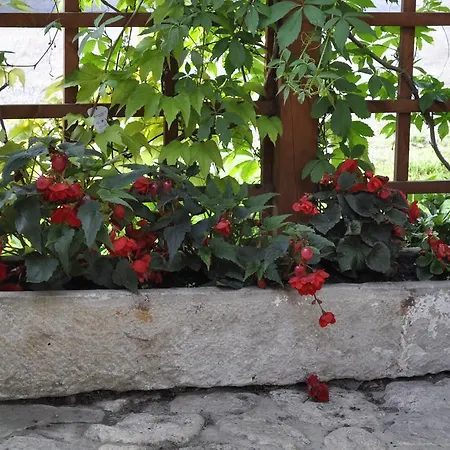 Gospodarstwo Goscinne Jesionowka 팜스테이