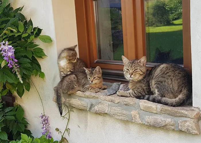 Gospodarstwo Goscinne Jesionowka