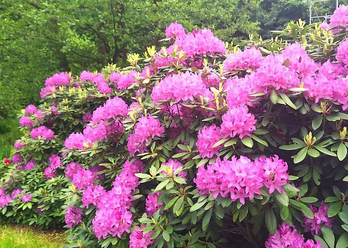 ファームステイ Gospodarstwo Goscinne Jesionowka Goworów