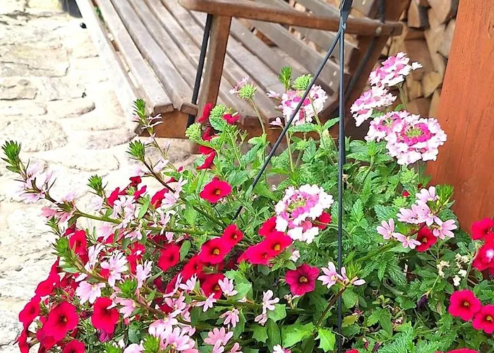 Gospodarstwo Goscinne Jesionowka * Goworow