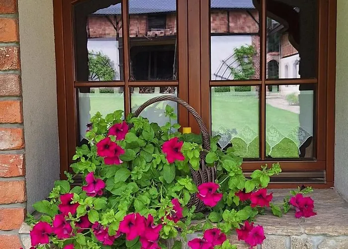 Gospodarstwo Goscinne Jesionowka Farma