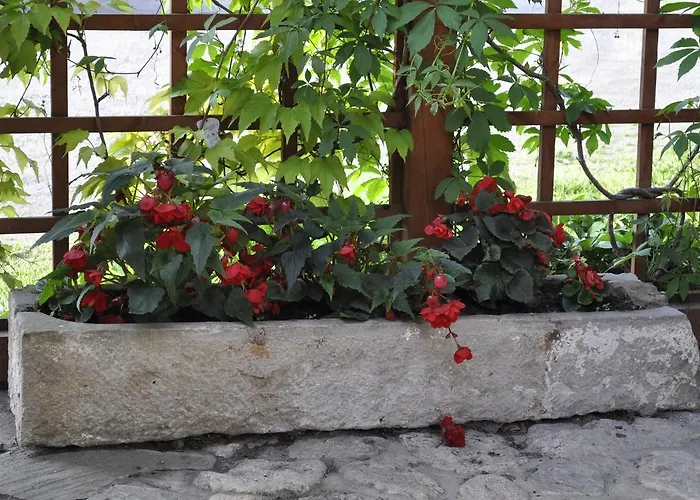 Gospodarstwo Goscinne Jesionowka ファームステイ