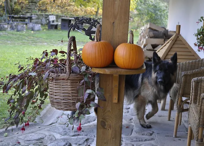 Gospodarstwo Goscinne Jesionowka Feriegård